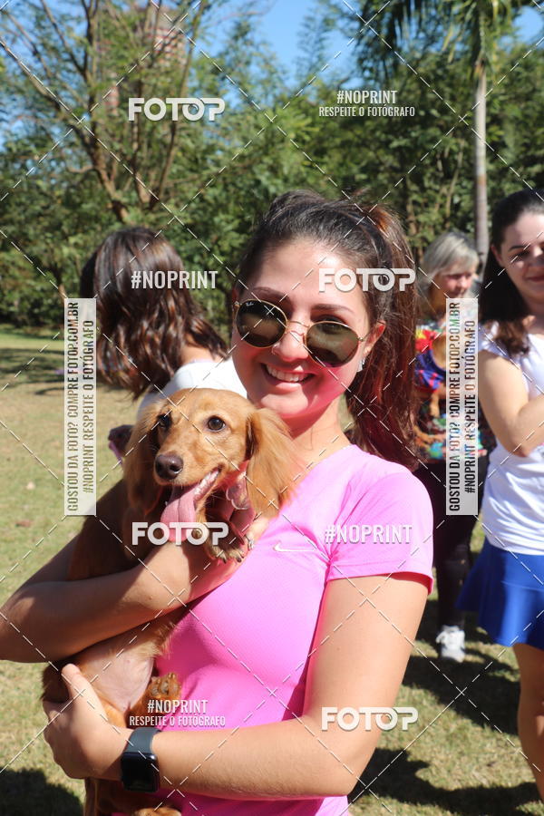Buy your photos of the event5 Encontro Oficial de Dachshunds e Concurso de Fantasias do Clube dos Salsichanos de Ribeiro Preto/SP on Fotop