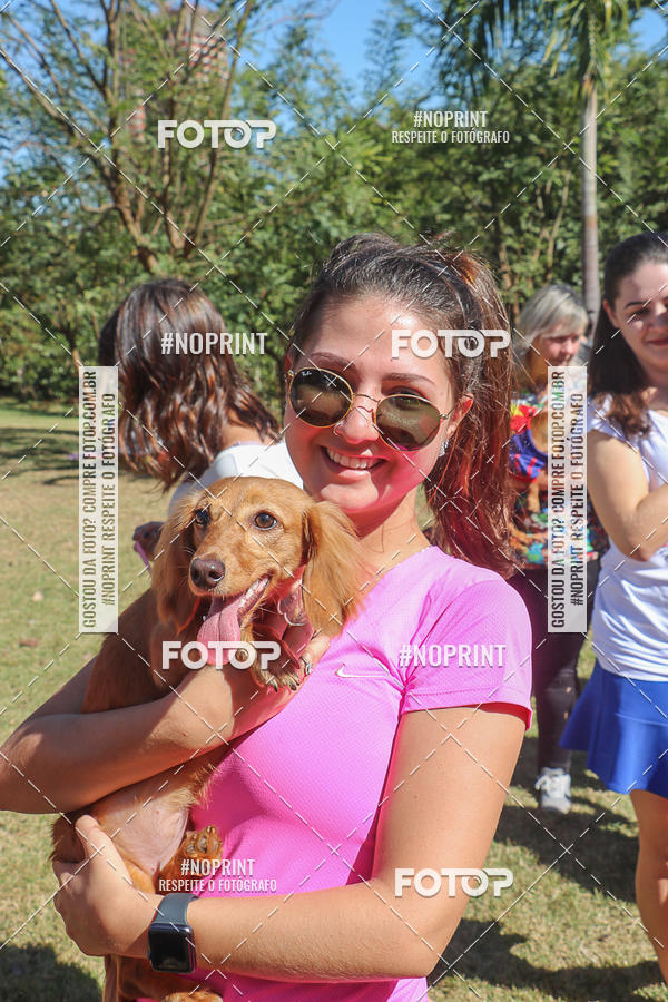 Buy your photos of the event5 Encontro Oficial de Dachshunds e Concurso de Fantasias do Clube dos Salsichanos de Ribeiro Preto/SP on Fotop
