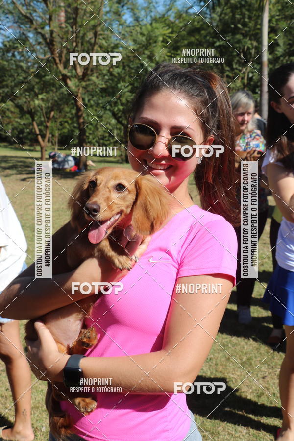 Buy your photos of the event5 Encontro Oficial de Dachshunds e Concurso de Fantasias do Clube dos Salsichanos de Ribeiro Preto/SP on Fotop