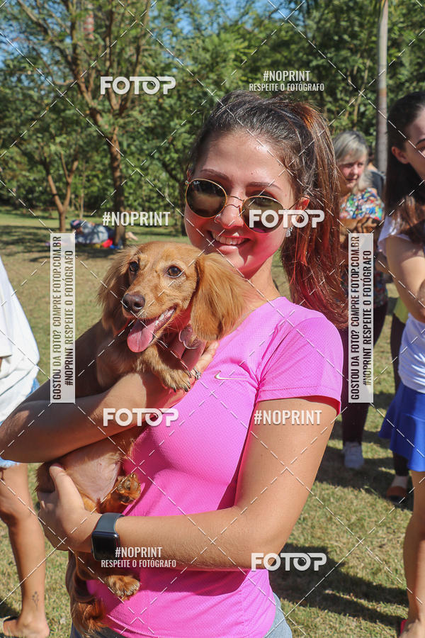 Buy your photos of the event5 Encontro Oficial de Dachshunds e Concurso de Fantasias do Clube dos Salsichanos de Ribeiro Preto/SP on Fotop