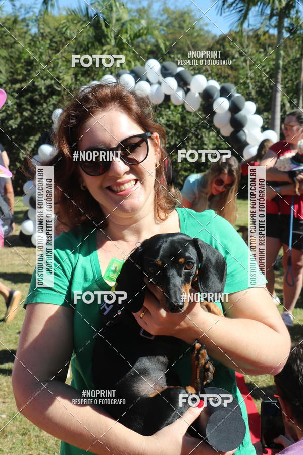 Buy your photos of the event5 Encontro Oficial de Dachshunds e Concurso de Fantasias do Clube dos Salsichanos de Ribeiro Preto/SP on Fotop
