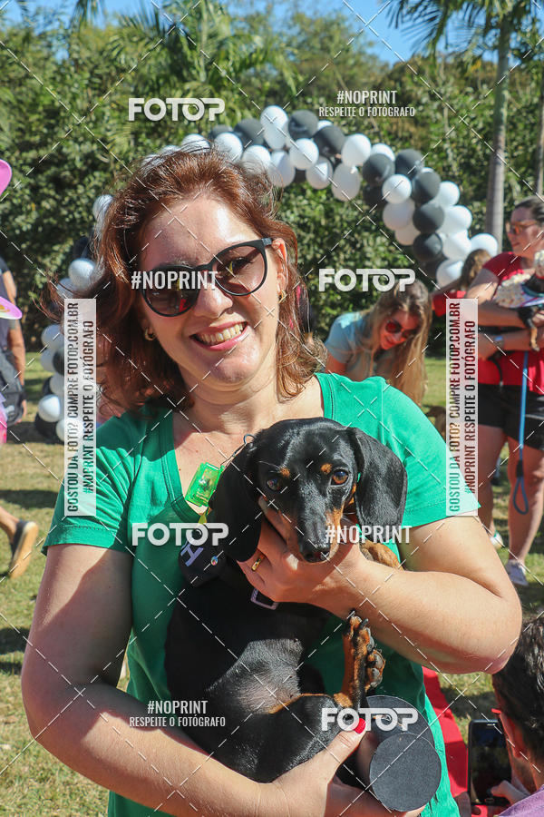 Buy your photos of the event5 Encontro Oficial de Dachshunds e Concurso de Fantasias do Clube dos Salsichanos de Ribeiro Preto/SP on Fotop