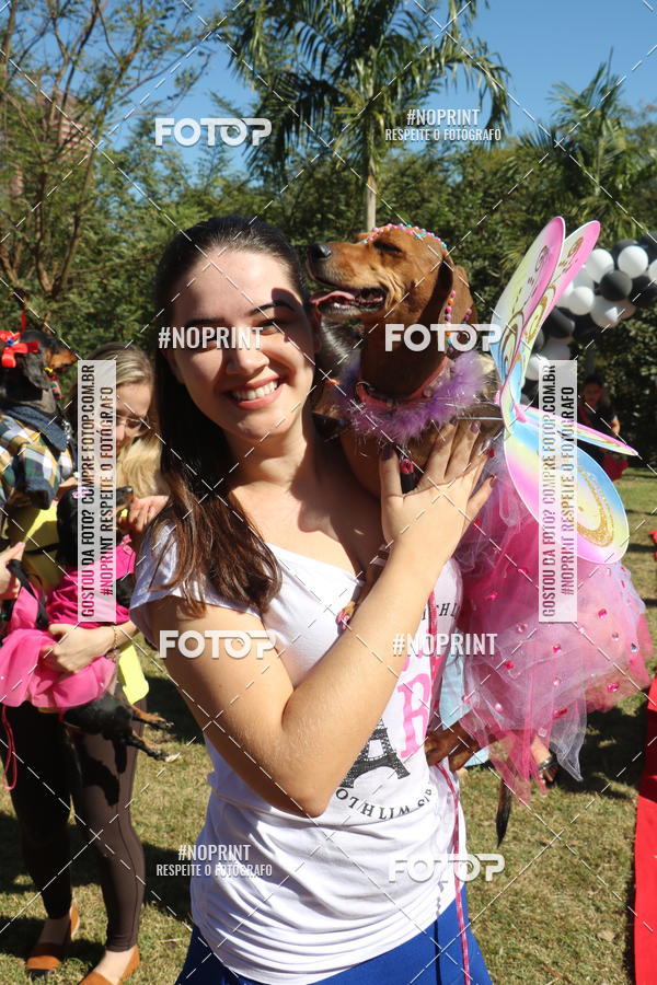 Buy your photos of the event5 Encontro Oficial de Dachshunds e Concurso de Fantasias do Clube dos Salsichanos de Ribeiro Preto/SP on Fotop