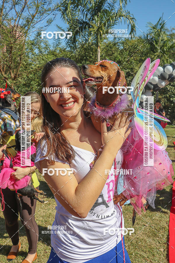 Buy your photos of the event5 Encontro Oficial de Dachshunds e Concurso de Fantasias do Clube dos Salsichanos de Ribeiro Preto/SP on Fotop