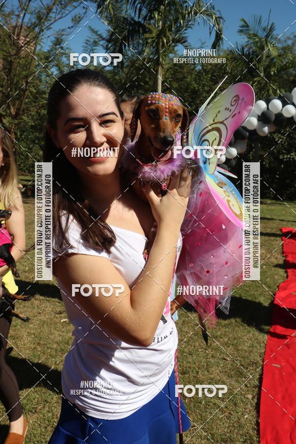 Buy your photos of the event5 Encontro Oficial de Dachshunds e Concurso de Fantasias do Clube dos Salsichanos de Ribeiro Preto/SP on Fotop