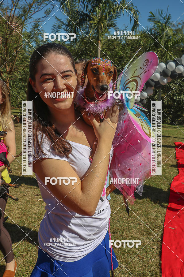 Buy your photos of the event5 Encontro Oficial de Dachshunds e Concurso de Fantasias do Clube dos Salsichanos de Ribeiro Preto/SP on Fotop