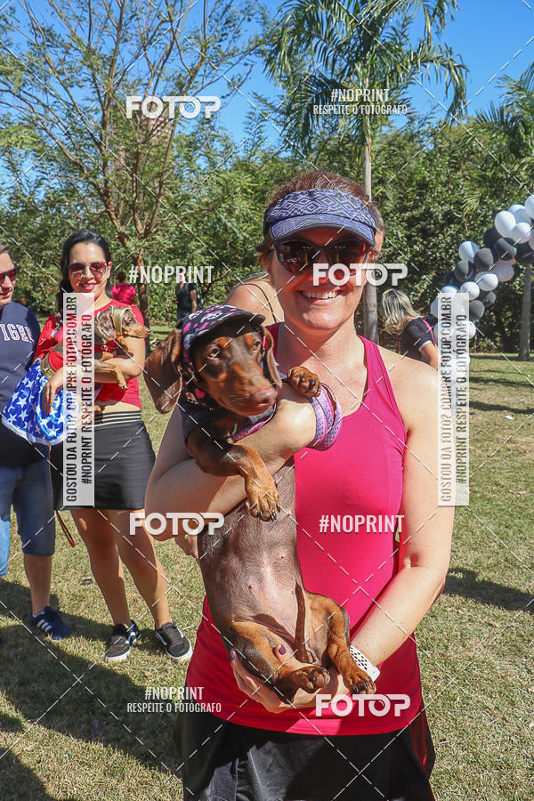 Buy your photos of the event5 Encontro Oficial de Dachshunds e Concurso de Fantasias do Clube dos Salsichanos de Ribeiro Preto/SP on Fotop