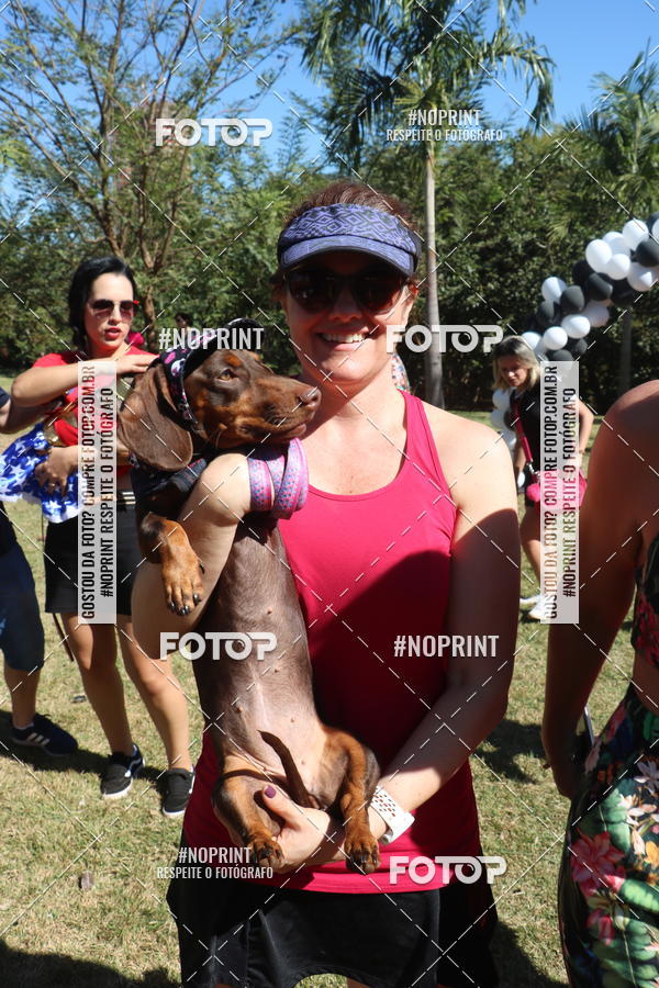 Buy your photos of the event5 Encontro Oficial de Dachshunds e Concurso de Fantasias do Clube dos Salsichanos de Ribeiro Preto/SP on Fotop