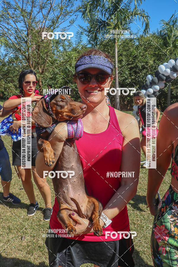 Buy your photos of the event5 Encontro Oficial de Dachshunds e Concurso de Fantasias do Clube dos Salsichanos de Ribeiro Preto/SP on Fotop