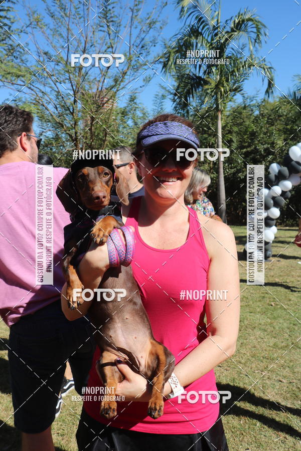 Buy your photos of the event5 Encontro Oficial de Dachshunds e Concurso de Fantasias do Clube dos Salsichanos de Ribeiro Preto/SP on Fotop