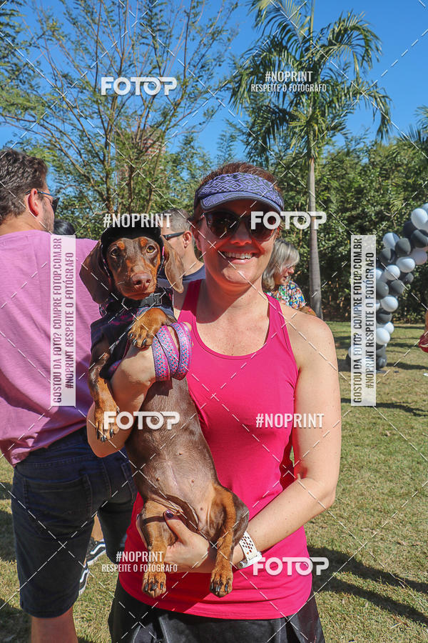 Buy your photos of the event5 Encontro Oficial de Dachshunds e Concurso de Fantasias do Clube dos Salsichanos de Ribeiro Preto/SP on Fotop