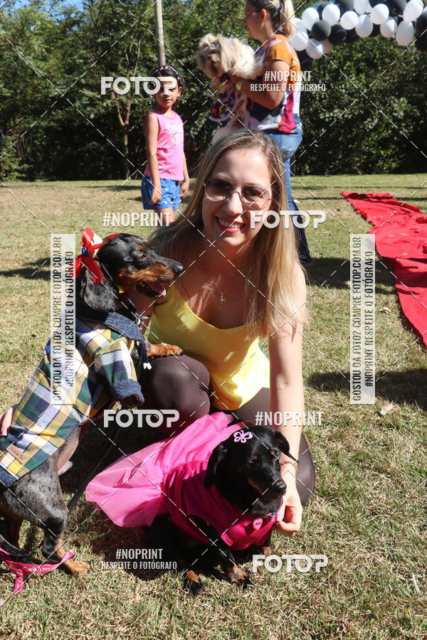 Buy your photos of the event5 Encontro Oficial de Dachshunds e Concurso de Fantasias do Clube dos Salsichanos de Ribeiro Preto/SP on Fotop