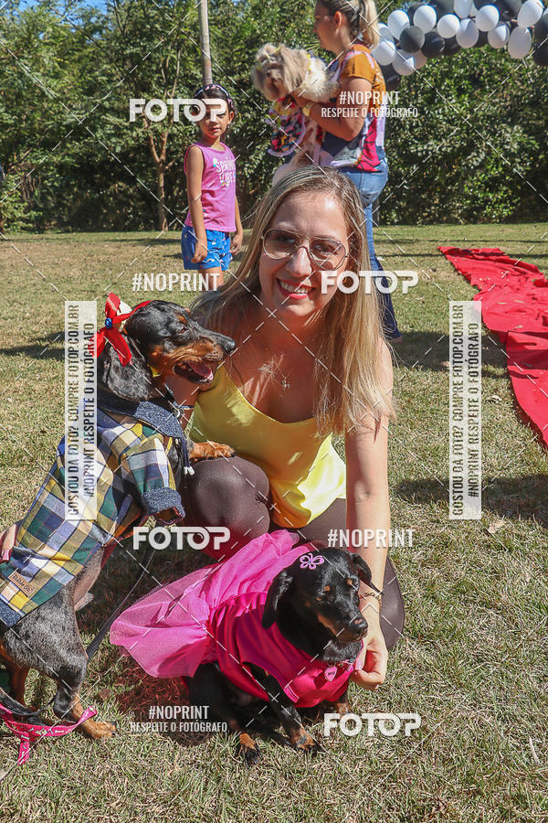 Buy your photos of the event5 Encontro Oficial de Dachshunds e Concurso de Fantasias do Clube dos Salsichanos de Ribeiro Preto/SP on Fotop
