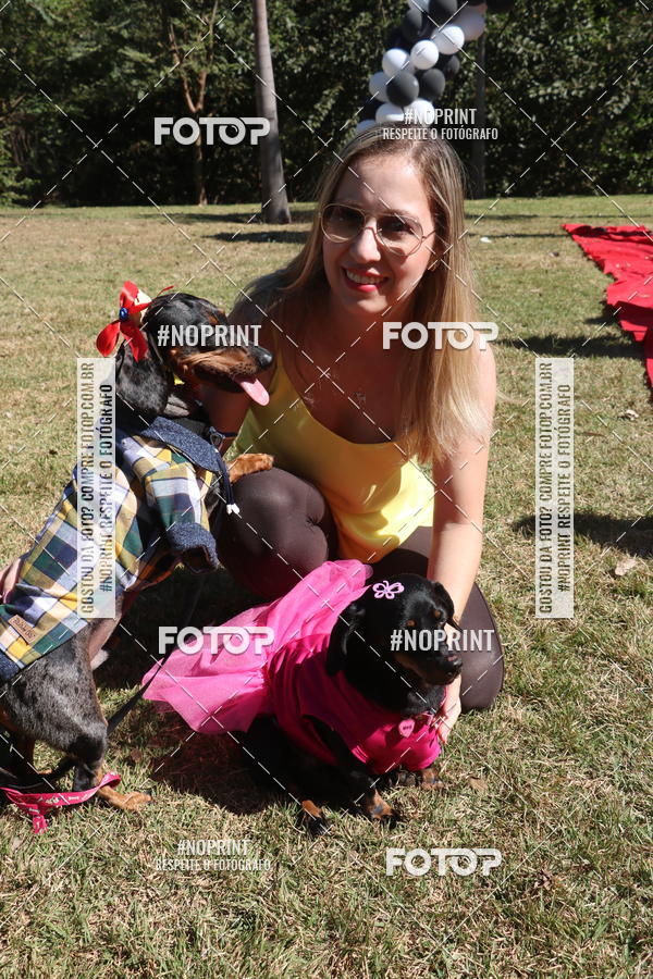 Buy your photos of the event5 Encontro Oficial de Dachshunds e Concurso de Fantasias do Clube dos Salsichanos de Ribeiro Preto/SP on Fotop