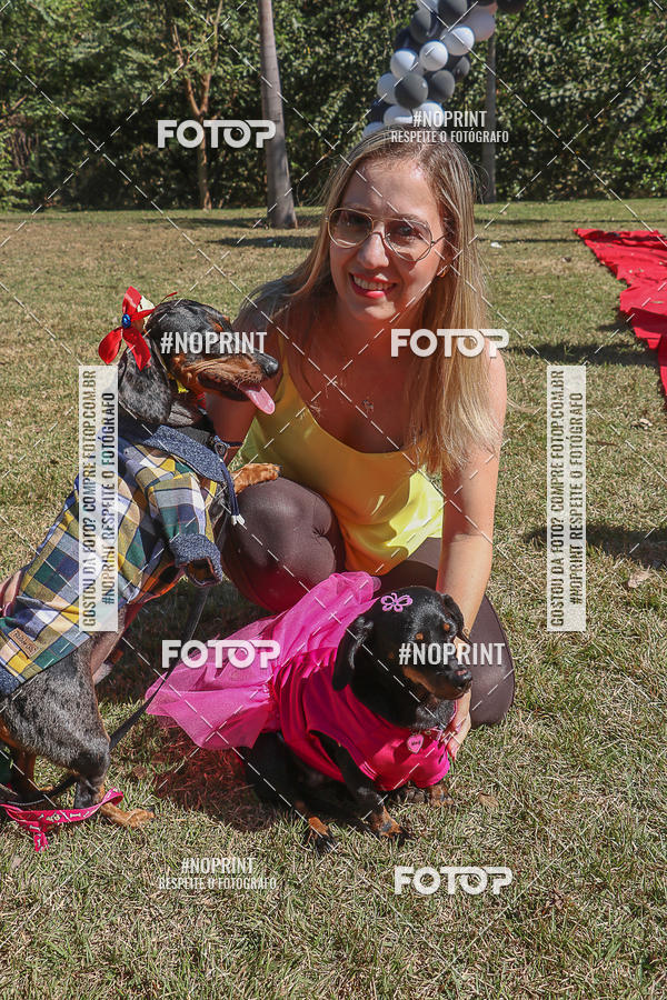 Buy your photos of the event5 Encontro Oficial de Dachshunds e Concurso de Fantasias do Clube dos Salsichanos de Ribeiro Preto/SP on Fotop