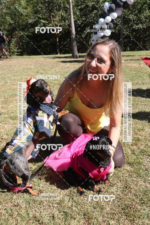 Buy your photos of the event5 Encontro Oficial de Dachshunds e Concurso de Fantasias do Clube dos Salsichanos de Ribeiro Preto/SP on Fotop