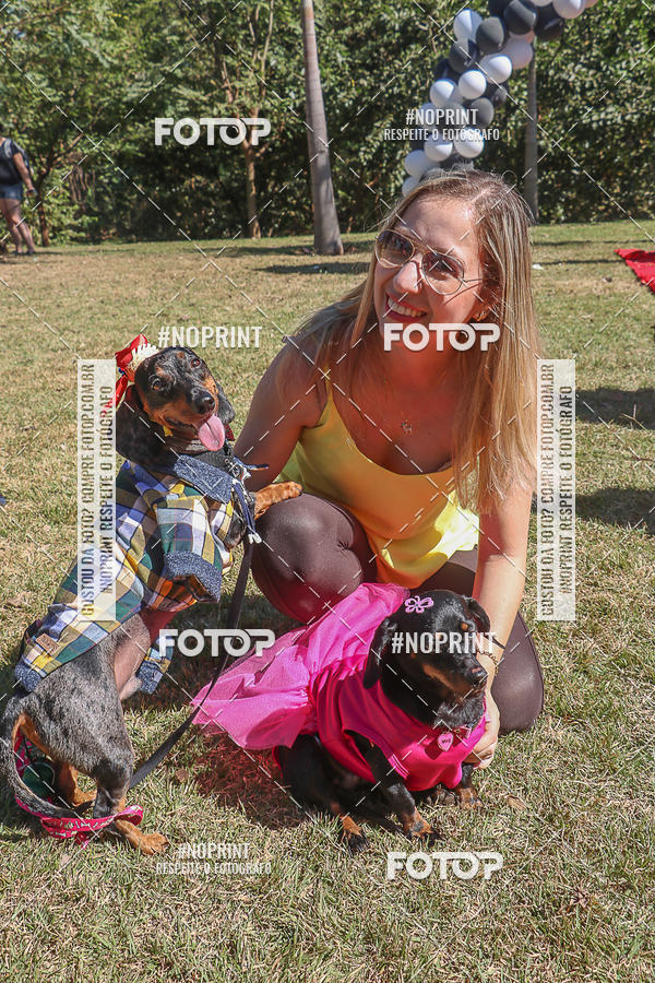 Buy your photos of the event5 Encontro Oficial de Dachshunds e Concurso de Fantasias do Clube dos Salsichanos de Ribeiro Preto/SP on Fotop