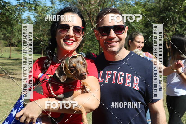 Buy your photos of the event5 Encontro Oficial de Dachshunds e Concurso de Fantasias do Clube dos Salsichanos de Ribeiro Preto/SP on Fotop