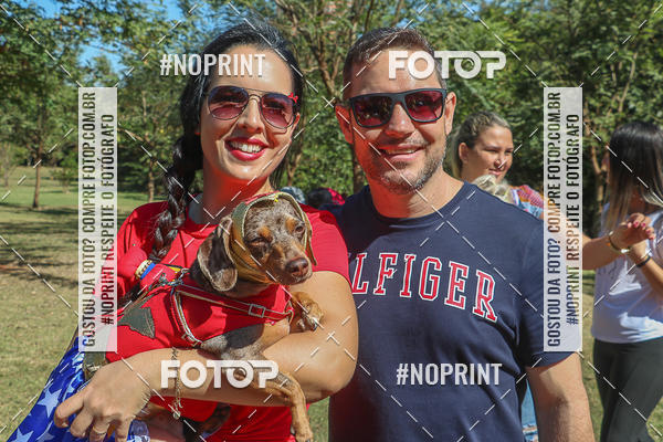 Buy your photos of the event5 Encontro Oficial de Dachshunds e Concurso de Fantasias do Clube dos Salsichanos de Ribeiro Preto/SP on Fotop