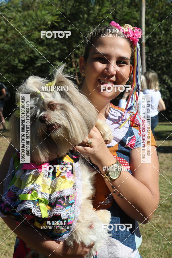 Buy your photos of the event5 Encontro Oficial de Dachshunds e Concurso de Fantasias do Clube dos Salsichanos de Ribeiro Preto/SP on Fotop