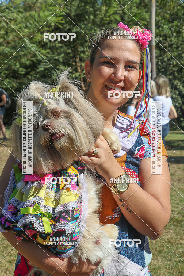 Buy your photos of the event5 Encontro Oficial de Dachshunds e Concurso de Fantasias do Clube dos Salsichanos de Ribeiro Preto/SP on Fotop