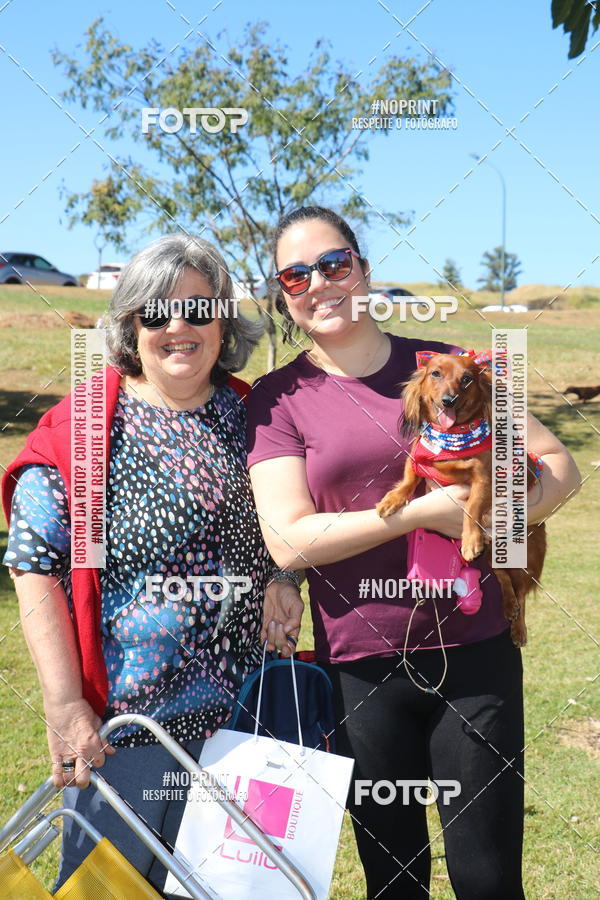 Buy your photos of the event5 Encontro Oficial de Dachshunds e Concurso de Fantasias do Clube dos Salsichanos de Ribeiro Preto/SP on Fotop
