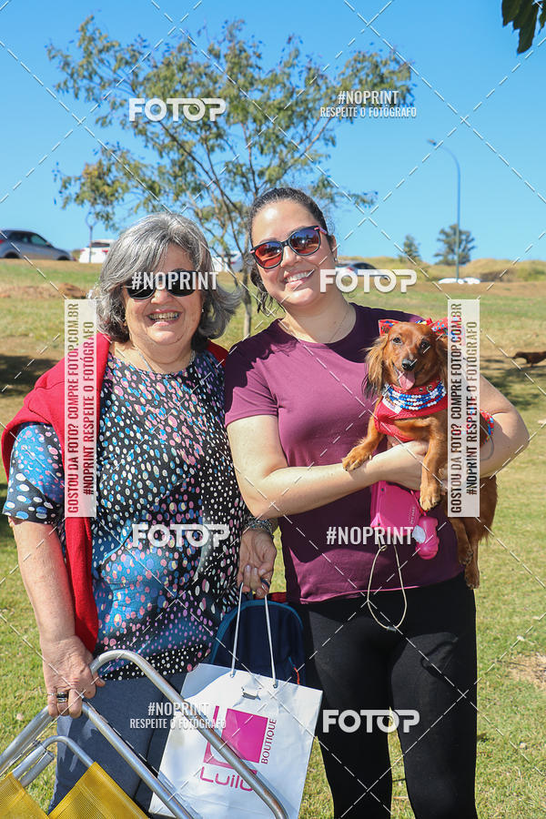 Buy your photos of the event5 Encontro Oficial de Dachshunds e Concurso de Fantasias do Clube dos Salsichanos de Ribeiro Preto/SP on Fotop