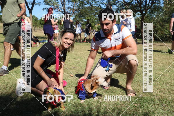 Buy your photos of the event5 Encontro Oficial de Dachshunds e Concurso de Fantasias do Clube dos Salsichanos de Ribeiro Preto/SP on Fotop