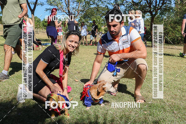 Buy your photos of the event5 Encontro Oficial de Dachshunds e Concurso de Fantasias do Clube dos Salsichanos de Ribeiro Preto/SP on Fotop