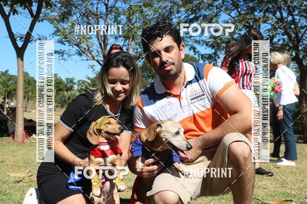 Buy your photos of the event5 Encontro Oficial de Dachshunds e Concurso de Fantasias do Clube dos Salsichanos de Ribeiro Preto/SP on Fotop