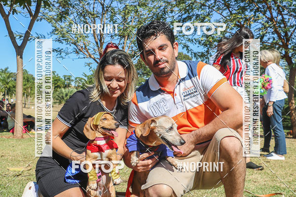 Buy your photos of the event5 Encontro Oficial de Dachshunds e Concurso de Fantasias do Clube dos Salsichanos de Ribeiro Preto/SP on Fotop