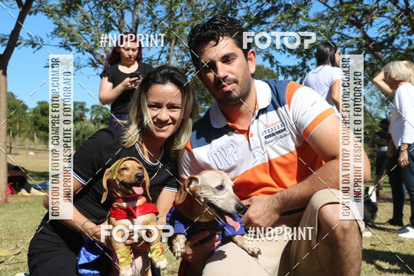 Buy your photos of the event5 Encontro Oficial de Dachshunds e Concurso de Fantasias do Clube dos Salsichanos de Ribeiro Preto/SP on Fotop
