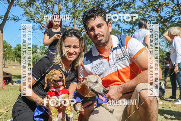 Buy your photos of the event5 Encontro Oficial de Dachshunds e Concurso de Fantasias do Clube dos Salsichanos de Ribeiro Preto/SP on Fotop