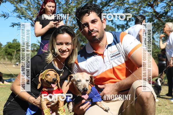 Buy your photos of the event5 Encontro Oficial de Dachshunds e Concurso de Fantasias do Clube dos Salsichanos de Ribeiro Preto/SP on Fotop