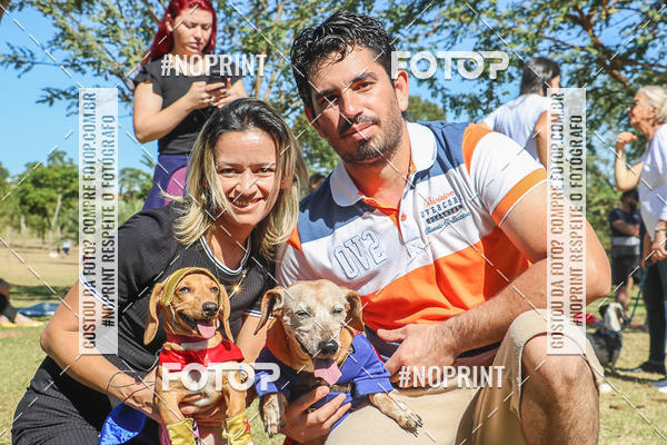 Buy your photos of the event5 Encontro Oficial de Dachshunds e Concurso de Fantasias do Clube dos Salsichanos de Ribeiro Preto/SP on Fotop