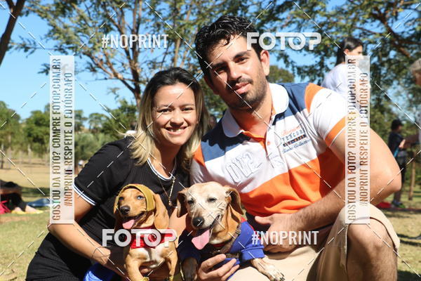 Buy your photos of the event5 Encontro Oficial de Dachshunds e Concurso de Fantasias do Clube dos Salsichanos de Ribeiro Preto/SP on Fotop