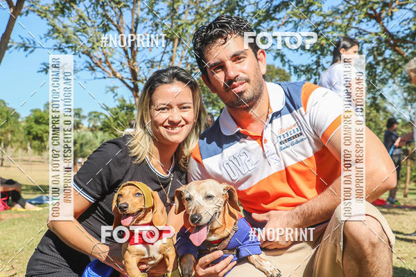 Buy your photos of the event5 Encontro Oficial de Dachshunds e Concurso de Fantasias do Clube dos Salsichanos de Ribeiro Preto/SP on Fotop