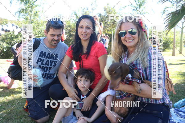 Buy your photos of the event5 Encontro Oficial de Dachshunds e Concurso de Fantasias do Clube dos Salsichanos de Ribeiro Preto/SP on Fotop