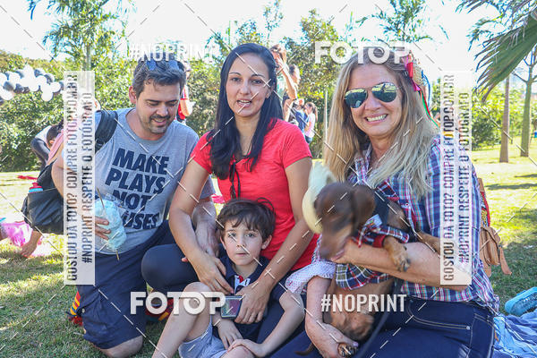 Buy your photos of the event5 Encontro Oficial de Dachshunds e Concurso de Fantasias do Clube dos Salsichanos de Ribeiro Preto/SP on Fotop