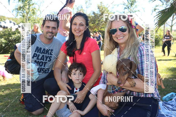 Buy your photos of the event5 Encontro Oficial de Dachshunds e Concurso de Fantasias do Clube dos Salsichanos de Ribeiro Preto/SP on Fotop