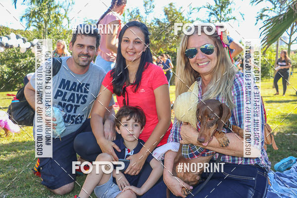 Buy your photos of the event5 Encontro Oficial de Dachshunds e Concurso de Fantasias do Clube dos Salsichanos de Ribeiro Preto/SP on Fotop