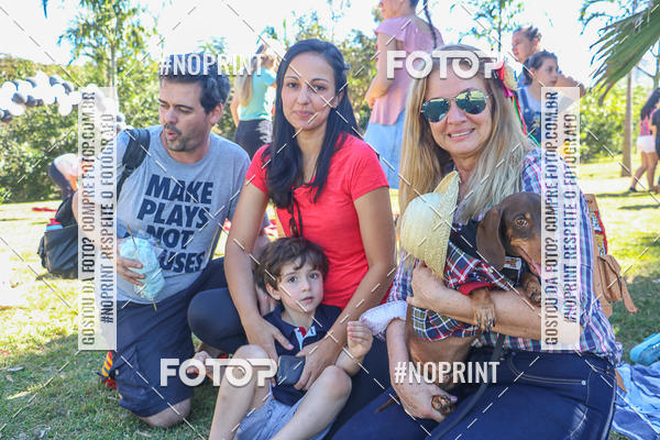 Buy your photos of the event5 Encontro Oficial de Dachshunds e Concurso de Fantasias do Clube dos Salsichanos de Ribeiro Preto/SP on Fotop