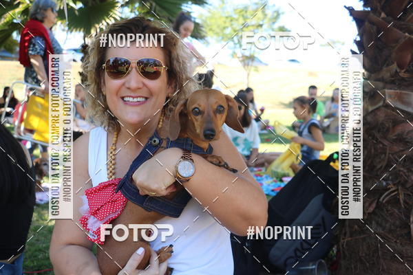 Buy your photos of the event5 Encontro Oficial de Dachshunds e Concurso de Fantasias do Clube dos Salsichanos de Ribeiro Preto/SP on Fotop
