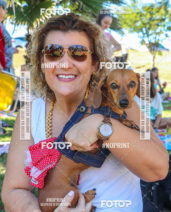 Buy your photos of the event5 Encontro Oficial de Dachshunds e Concurso de Fantasias do Clube dos Salsichanos de Ribeiro Preto/SP on Fotop