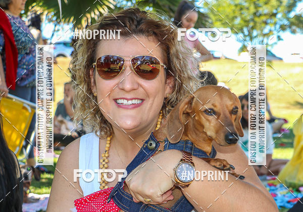 Buy your photos of the event5 Encontro Oficial de Dachshunds e Concurso de Fantasias do Clube dos Salsichanos de Ribeiro Preto/SP on Fotop