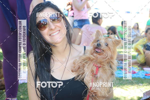 Buy your photos of the event5 Encontro Oficial de Dachshunds e Concurso de Fantasias do Clube dos Salsichanos de Ribeiro Preto/SP on Fotop