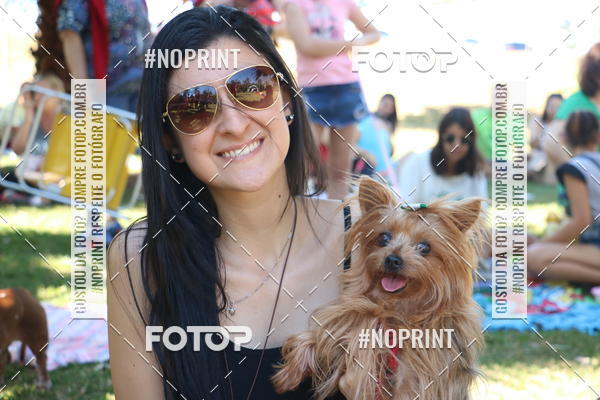 Buy your photos of the event5 Encontro Oficial de Dachshunds e Concurso de Fantasias do Clube dos Salsichanos de Ribeiro Preto/SP on Fotop