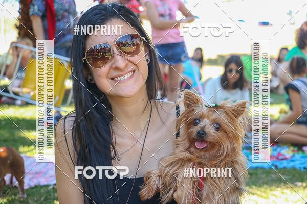 Buy your photos of the event5 Encontro Oficial de Dachshunds e Concurso de Fantasias do Clube dos Salsichanos de Ribeiro Preto/SP on Fotop