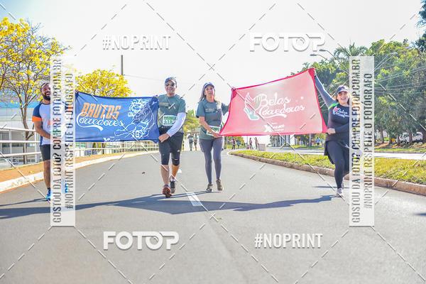 Buy your photos of the event9 Meia Maratona Tribuna Ribeiro on Fotop