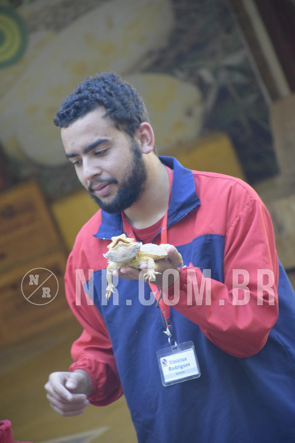 Buy your photos of the eventNR1 - English & Action - 07 a 09/06/19 on Fotop